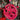 Volano B114 - Barbie Rose