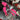 Volano B114 - Barbie Rose